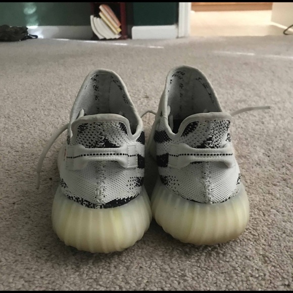 Zebras - Picture 3 of 6